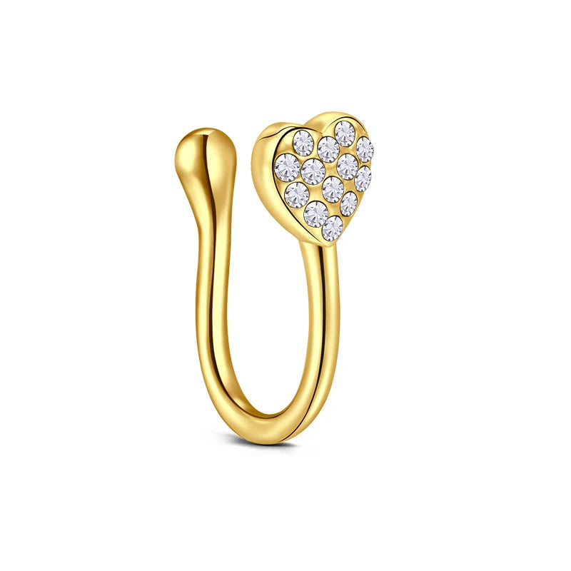 Faux Piercings Beauté pour Nez