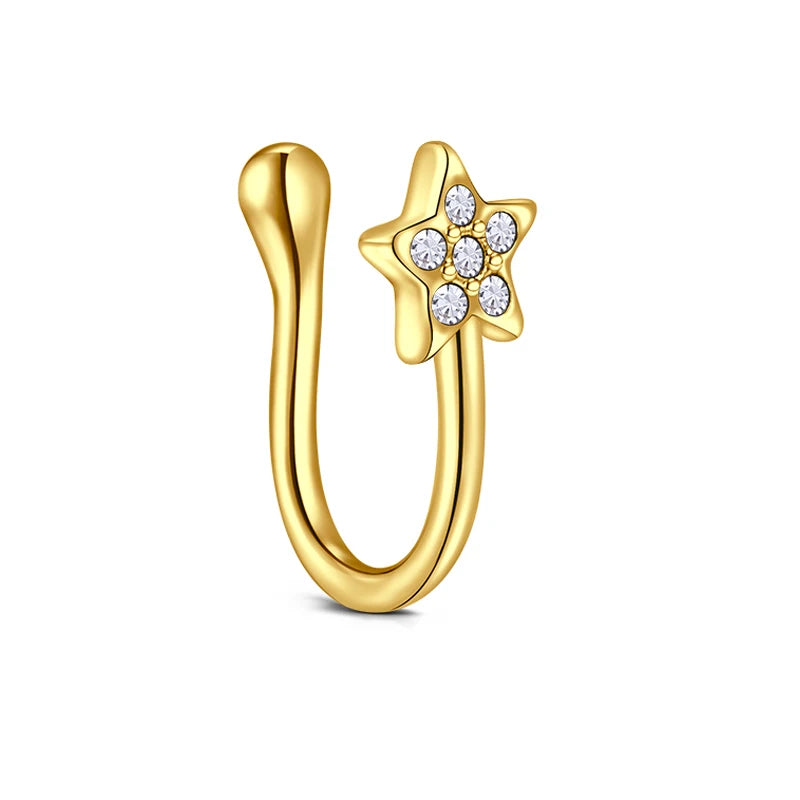 Faux Piercings Beauté pour Nez